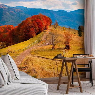 Wall Murals - Carpathian landscape - Autumn mountain landscape with trees and road G-ART