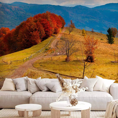 Wall Murals - Carpathian landscape - Autumn mountain landscape with trees and road G-ART