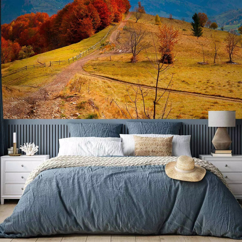 Wall Murals - Carpathian landscape - Autumn mountain landscape with trees and road G-ART