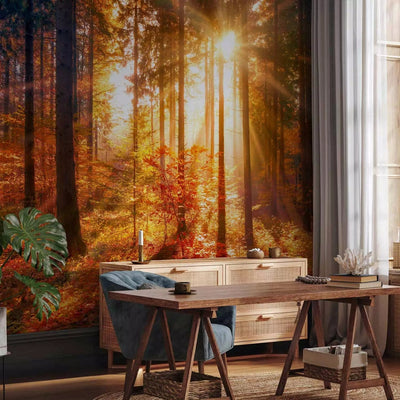 Wall Murals with autumn nature in amber tones - Autumn time, 92896G-ART