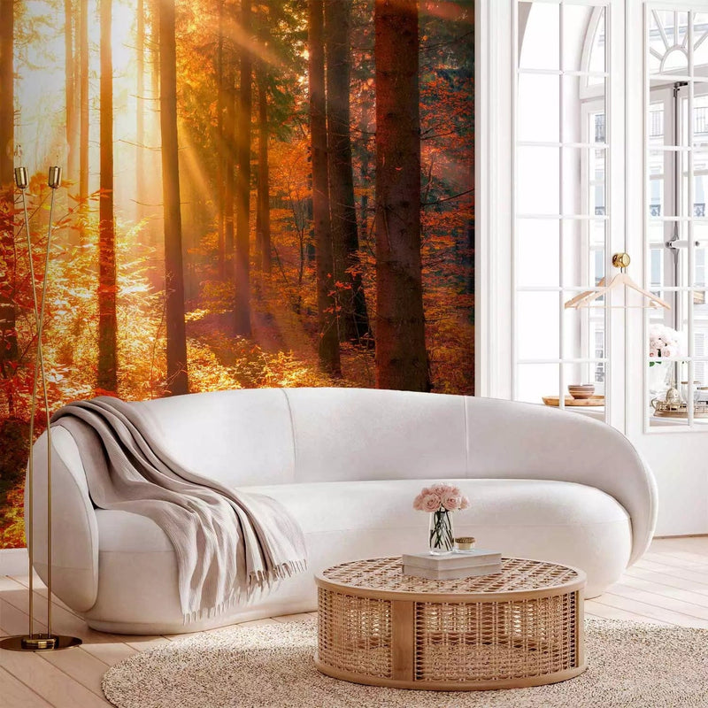 Wall Murals with autumn nature in amber tones - Autumn time, 92896G-ART