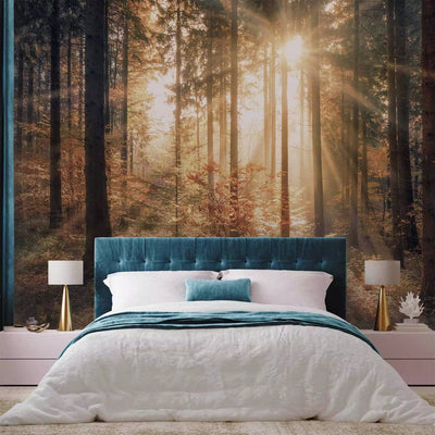 Wall Murals with autumn landscape - Autumn forest, 92897 - easy to glue G-ART