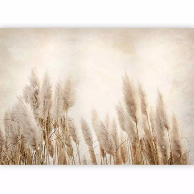 Wall Murals with reed in pastel shades, Merino G-ART