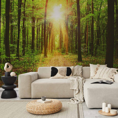 Фотообои - Солнечный свет - Пейзаж с тропинкой в лесу, 64597 G-ART