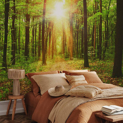 Фотообои - Солнечный свет - Пейзаж с тропинкой в лесу, 64597 G-ART