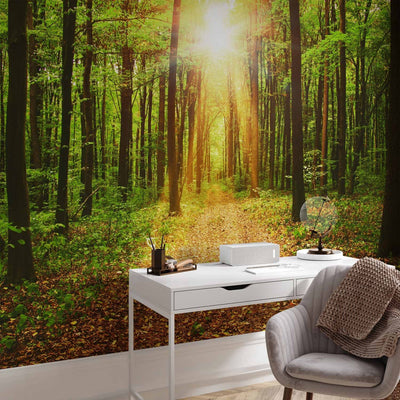 Wall Murals - Sunlight - Landscape with path in the forest, 64597 G-ART