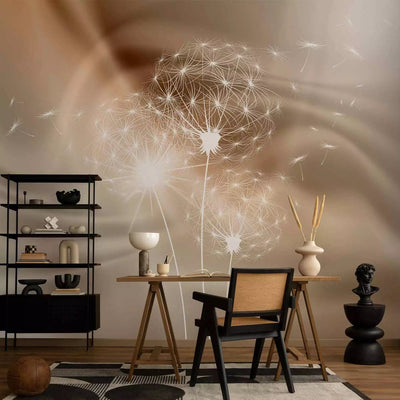 Wall Murals - white dandelions on a sophisticated background with sunlight G-ART