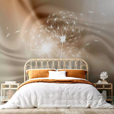 Wall Murals - white dandelions on a sophisticated background with sunlight G-ART