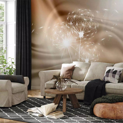 Wall Murals - white dandelions on a sophisticated background with sunlight G-ART