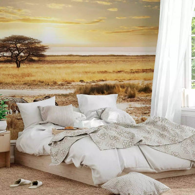 Wall Murals - Sunrise in Africa - zebras in the savannah by the tree waterhole G-ART