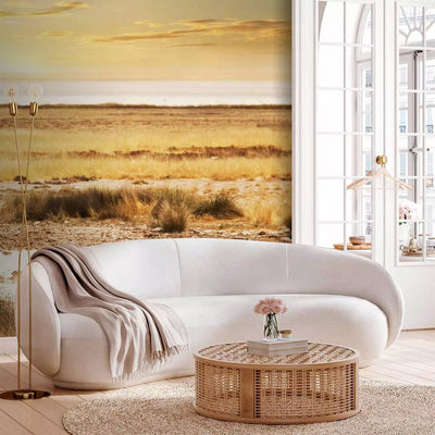 Wall Murals - Sunrise in Africa - zebras in the savannah by the tree waterhole G-ART