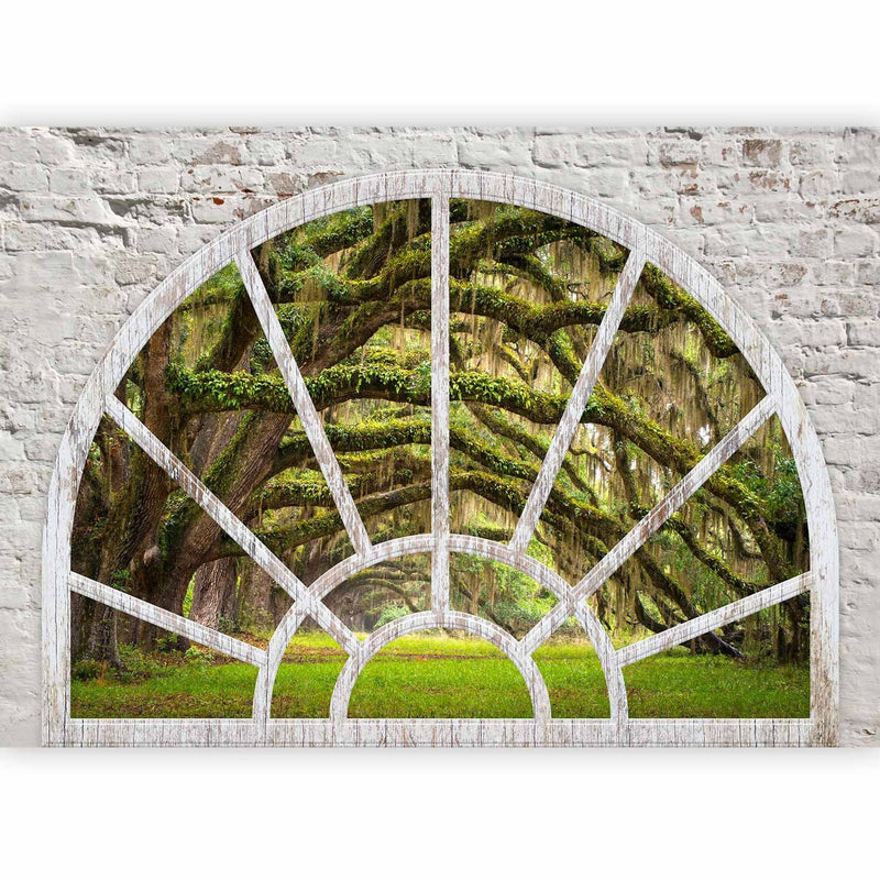 Фотообои - Вид из окна на природу - зеленый лесной пейзаж, 62449 G-ART