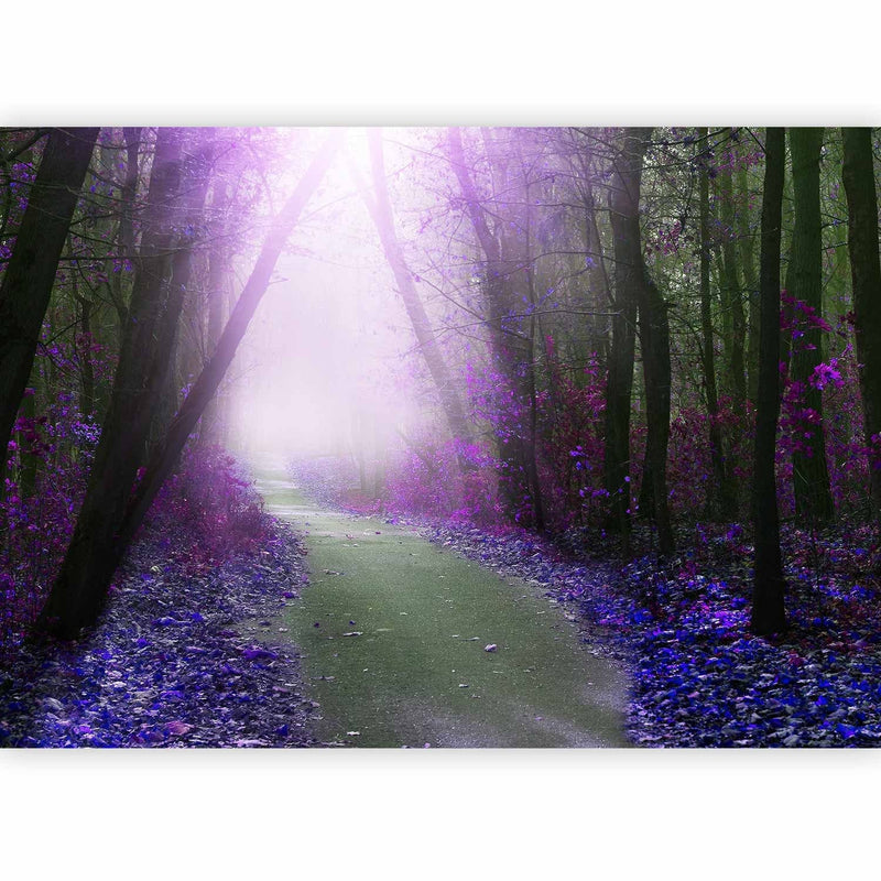Fototapetes - Violetais ceļš, 61858 G-ART
