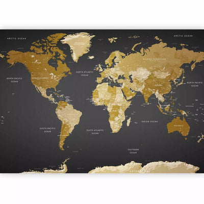 Fototapetai – Auksinės rudos spalvos pasaulio žemėlapis – Šiuolaikinė geografija, 94379 G-ART