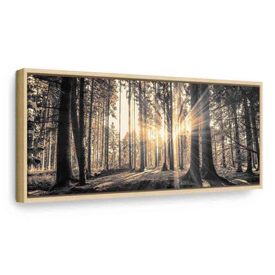 Картина в деревянной раме - Лесное солнце G ART