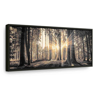 Glezna melnā koka rāmī - Meža saule G ART