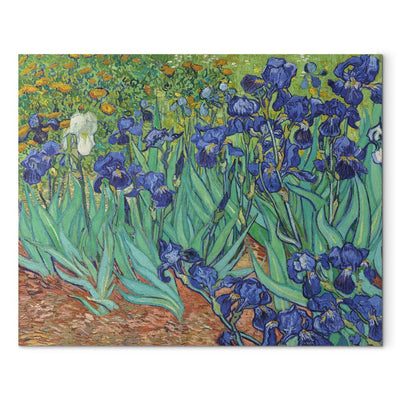 Maalauksen lisääntyminen (Vincent Van Gogh) - Iris g Art