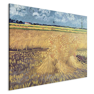 Tapybos atkūrimas (Vincentas Van Gogas) - kviečių laukas su sijomis G meno