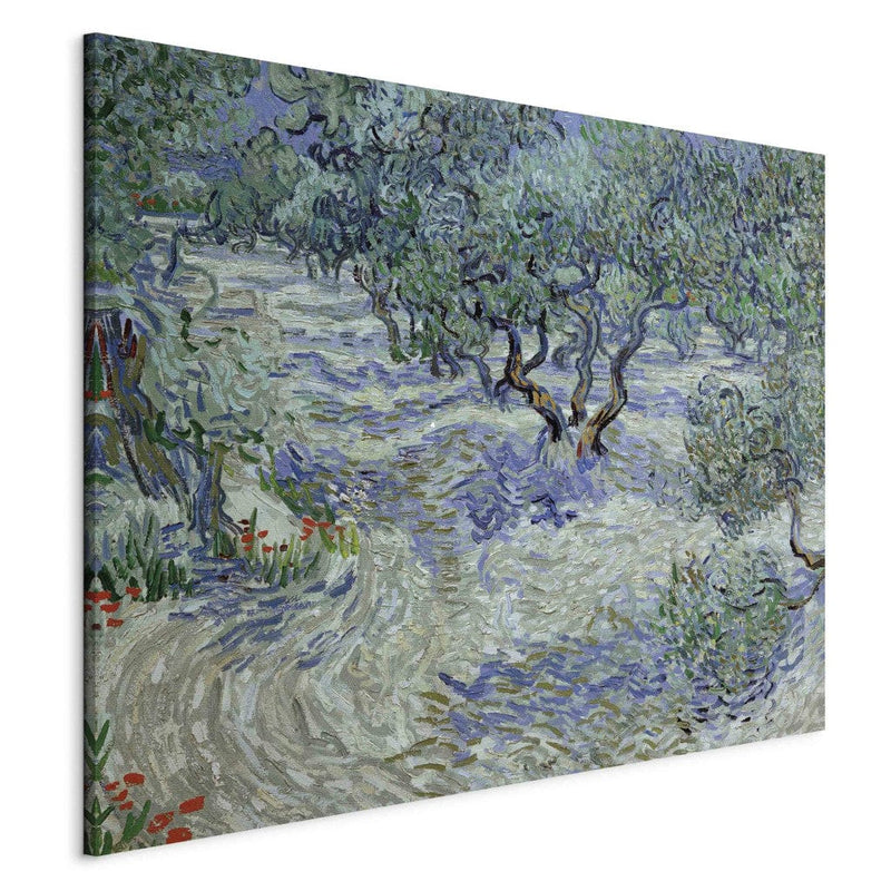 Maalauksen lisääntyminen (Vincent Van Gogh) - Olive Grove G Art