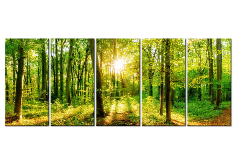 Painting with nature - a magical forest, (5 parts)- canvas on a wooden frame G-art