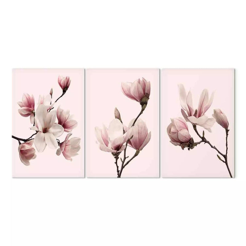 Glezna ar magnoliju uz rozā fona - Pavasara magnolijas, (x 3), 118380 G-ART