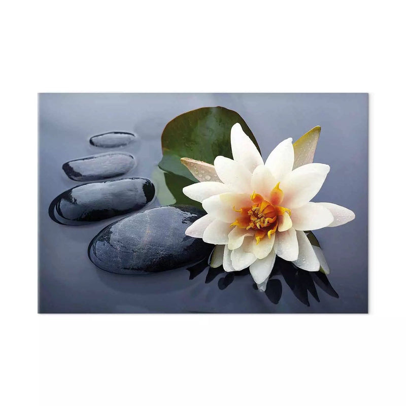 Painting - White water lily and stones on grey background, 162552 G-ART