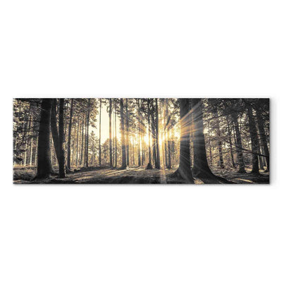 Painting with a sunny forest - nature decor in the living room - on the canvas G -art.