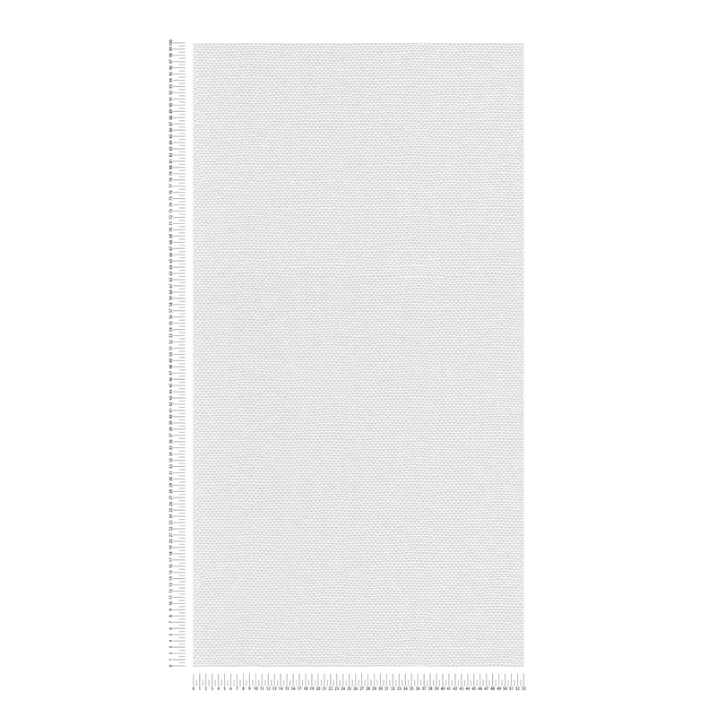 Tekstūruoti tapetai, 423333, (0,53x10 m), EKO be PVC AS Creation