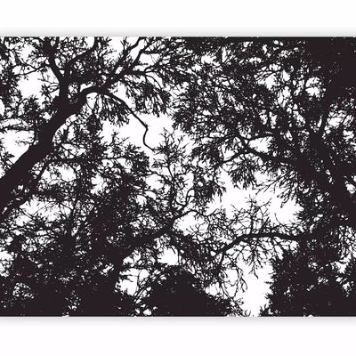 Wall Murals with black trees - 59928 - quality from Tapetenshop G-ART