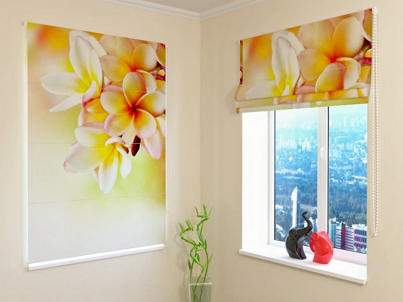 Roman blinds with tropical flowers - Frangipani Tropical flower Tapetenshop.lv