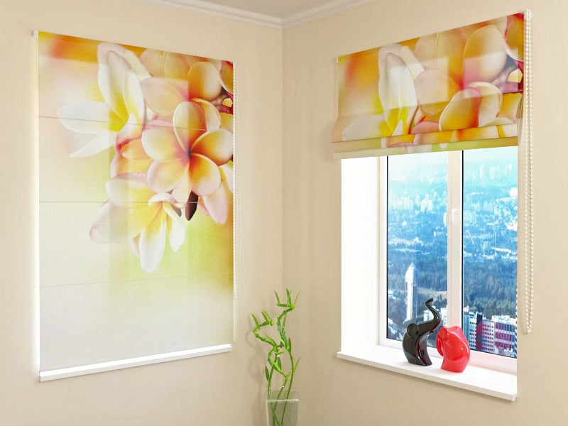 Roman blinds with tropical flowers - Frgipani tropical flower Tapetenshop.lv