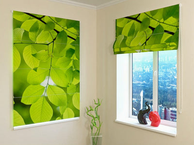 Roman blinds - Spring twig with green leaves - fresh greenTapetenshop.lv