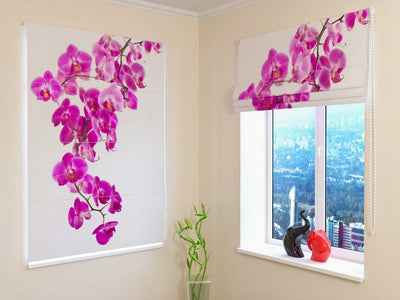 Roman blinds with floral print - the perfect pink orchid in Tapetenshop.lv