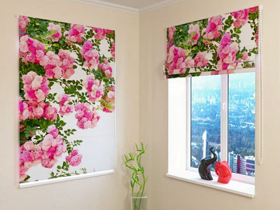 Blinds with roses in pink - Pink garden roses Tapetenshop.lv