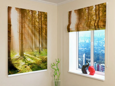 Roman blinds with forest view - sunny pine forest - order Tapetenshop.lv