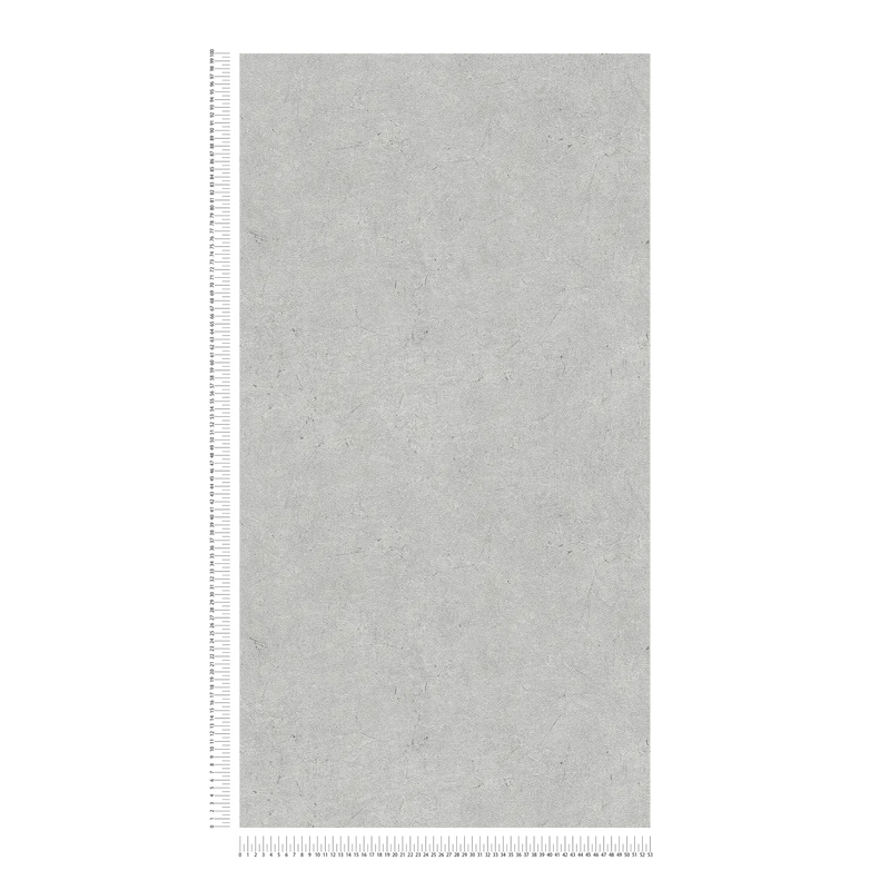 Bodily Non-woven wallpaper AS Creation 95259-2 gray AS Creation