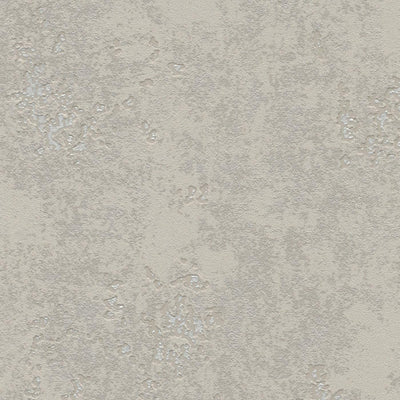 Tapetes ar apmetuma rakstu taupe krāsā ar sudraba akcentiem, 315721 RASCH