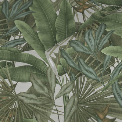 Tapetes ar džungļu lapu rakstu un krāsainiem akcentiem, zaļā, 396472 AS Creation