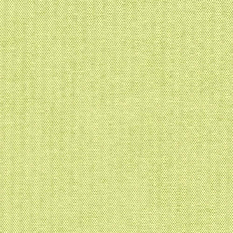 Vienkrāsainas tapetes Erismann zaļā krāsā, 634007 Erismann