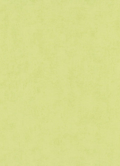 Vienkrāsainas tapetes Erismann zaļā krāsā, 634007 Erismann