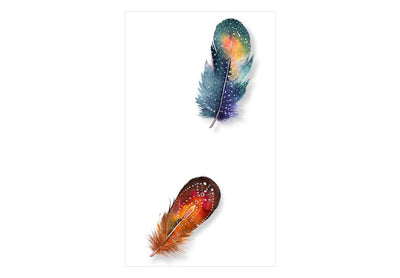 Taustakuva - Colorful feathers, 89786 G ART