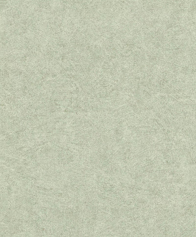 Wallpaper RASCHWith fine and textured, green color, 699821 RASCH