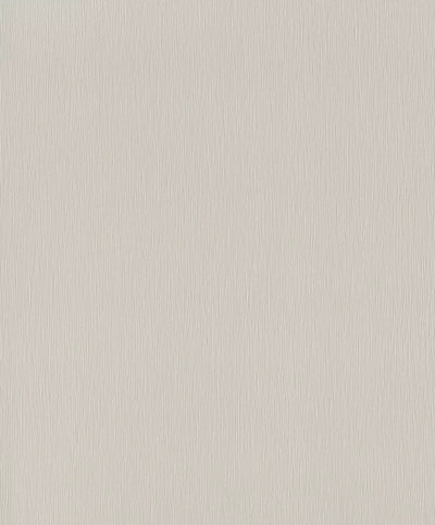 Wallpapers Rasch gray shades of small texture, 419962, Welcome Home Rasch