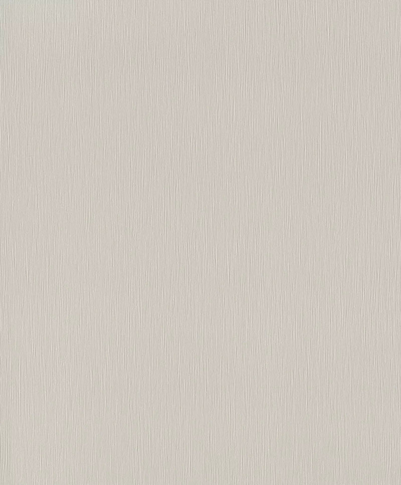 Wallpapers Rasch gray shades of small texture, 419962, Welcome Home Rasch