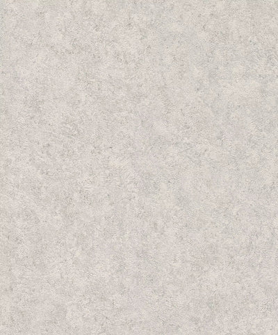 Plain wallpapers with a small texture, light gray, 649321 rasch