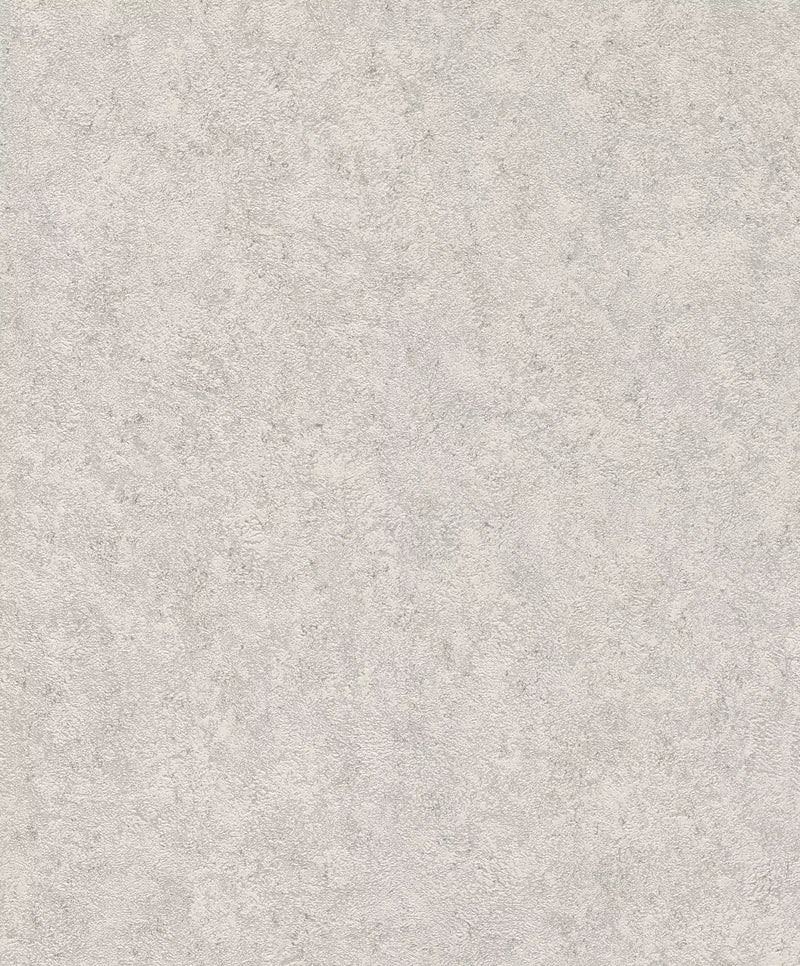 Plain wallpapers with a small texture, light gray, 649321 rasch