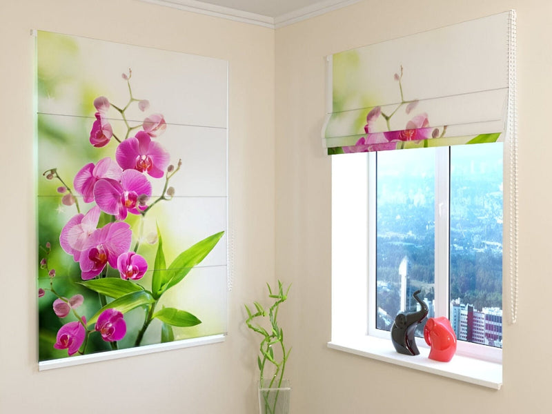 Blinds with flowers - orchids - Summer colors Tapetenshop.lv