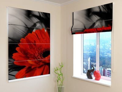 Blinds with a floral pattern - Red flower on a black background - price Tapetenshop.lv