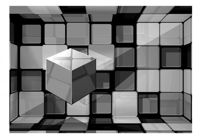 3D fototapetes ar perspektīvu - Rubika kubs pelēkā krāsā, f-A-0236-a-d G-ART