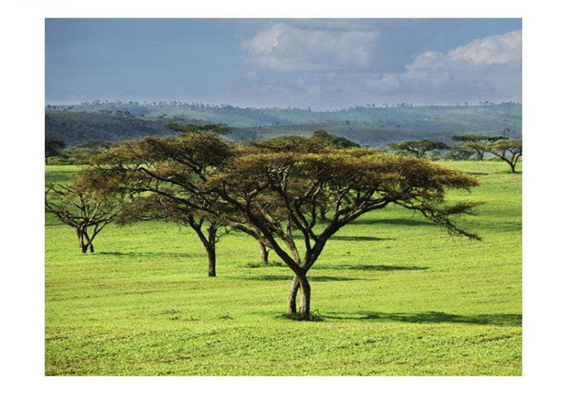 Фотообои 61391 Африканские деревья G-ART